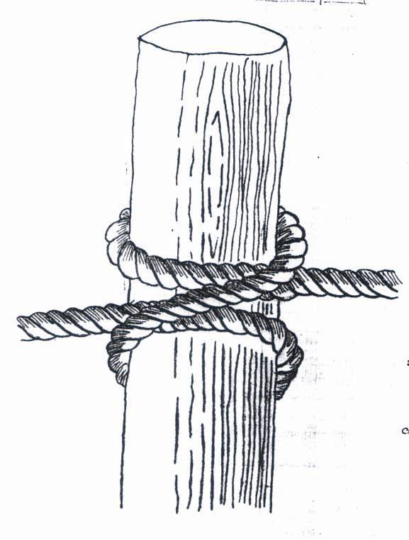 Image result for Clove hitch